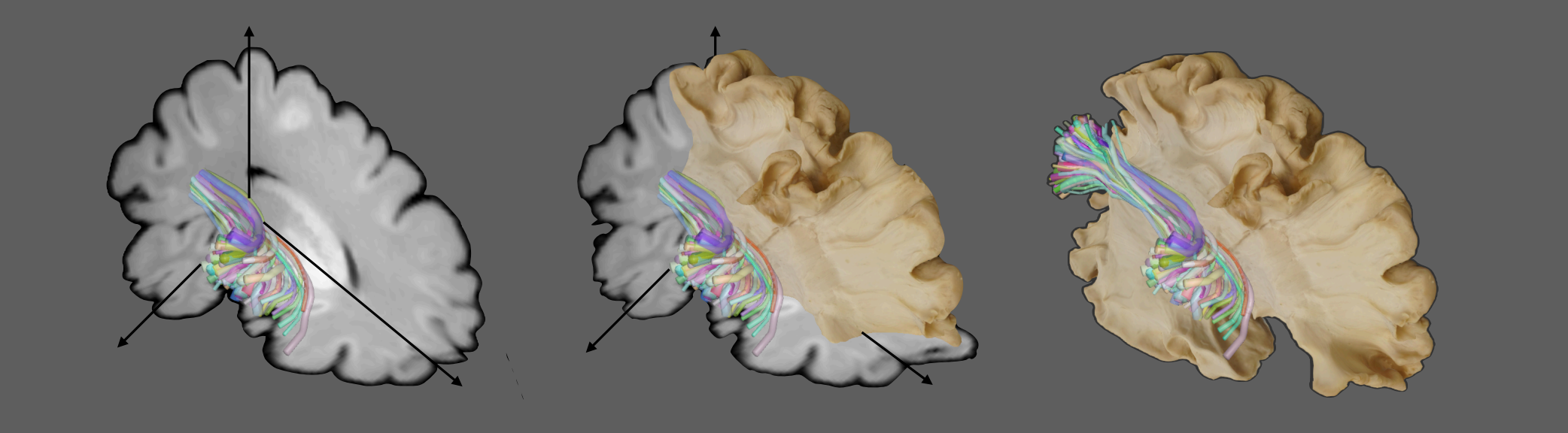 Interactive visualizer