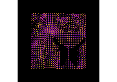 Reconstruction with the Sparse Fascicle Model